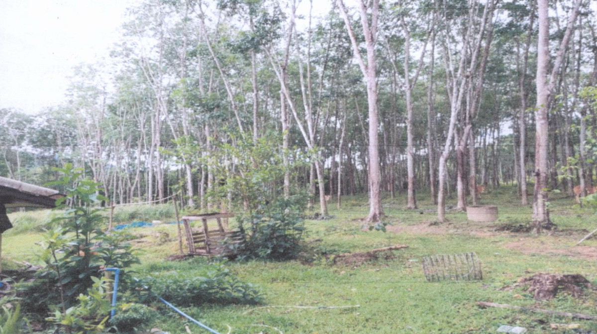 Residential land/lot Phatthalung Kong Ra Kong Ra 413406