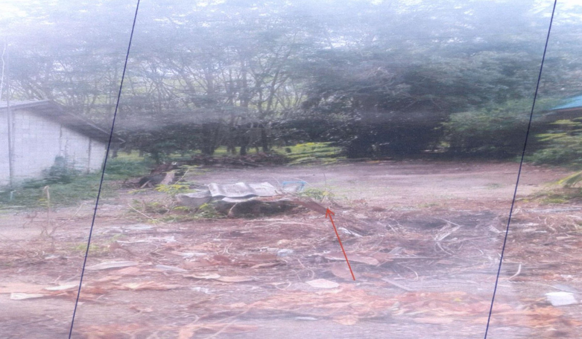 Residential land/lot Phatthalung Tamot Mae Khri 296000