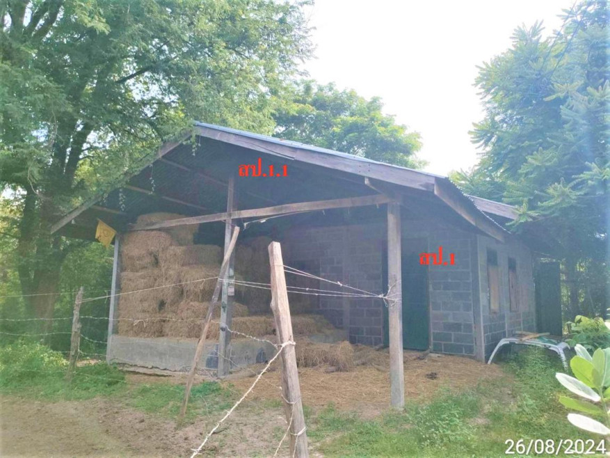 บ้านเดี่ยว บ้านเดี่ยว ร้อยเอ็ด ร้อยเอ็ด สุวรรณภูมิ จำปาขัน 1036000