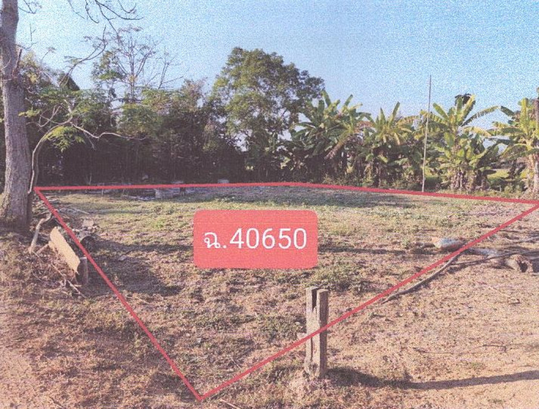 ที่ดินเปล่า สุโขทัย ศรีสำโรง วัดเกาะ 56800