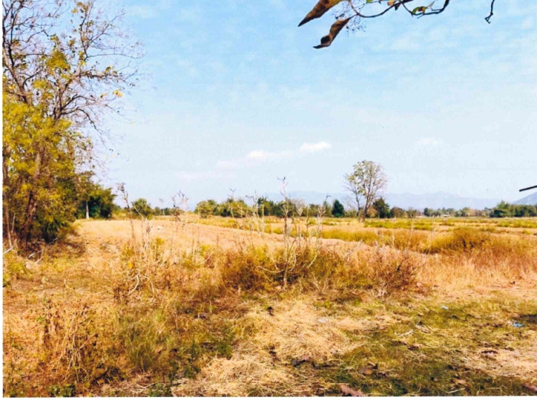 ที่ดินเปล่า สุโขทัย บ้านด่านลานหอย ตลิ่งชัน 80460