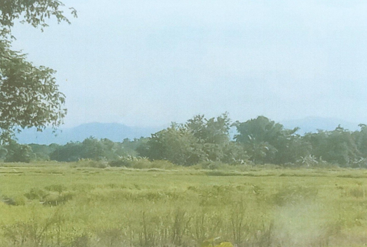 Residential land/lot Phetchabun Lom Sak Wat Pa 353815