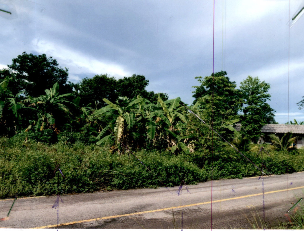 Residential land/lot Surat Thani Ban Na Doem Ban Na 78000