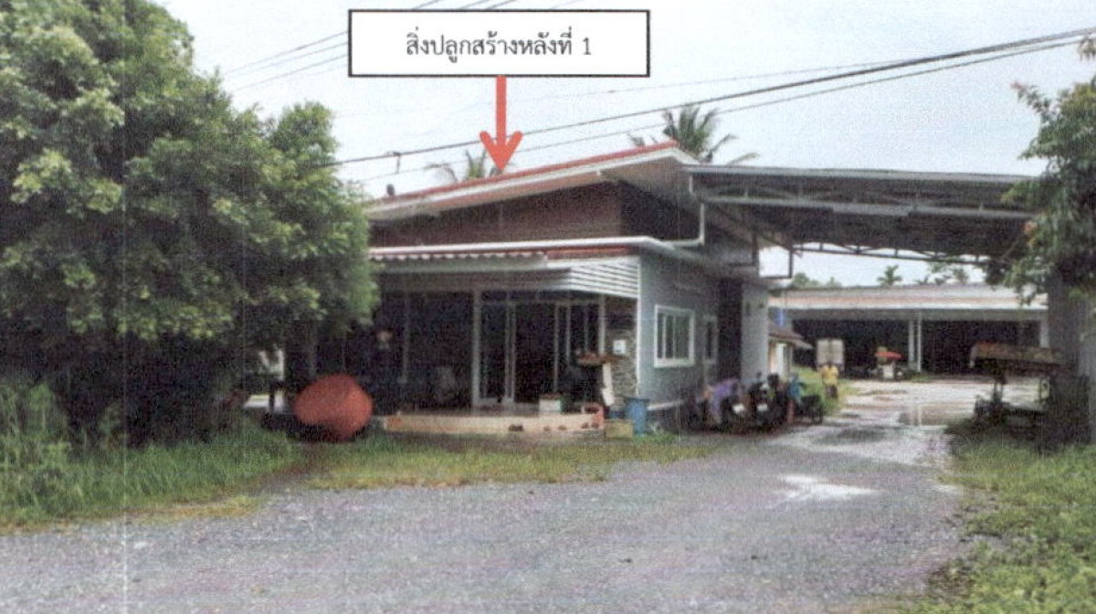 บ้านเดี่ยว พัทลุง บางแก้ว โคกสัก 1859040