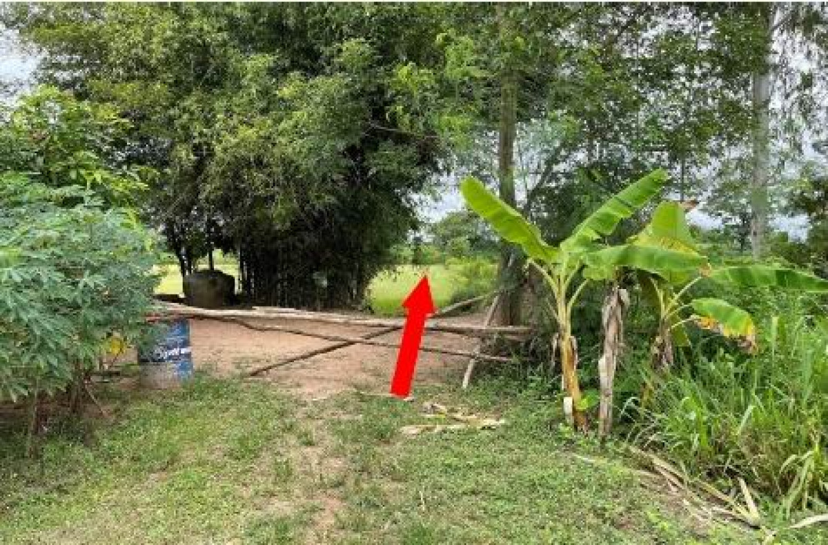 ที่ดินเปล่า กาฬสินธุ์ หนองกุงศรี หนองสรวง 83000