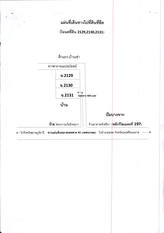 ที่ดินเปล่า สุราษฎร์ธานี บ้านนาเดิม บ้านนา 90000