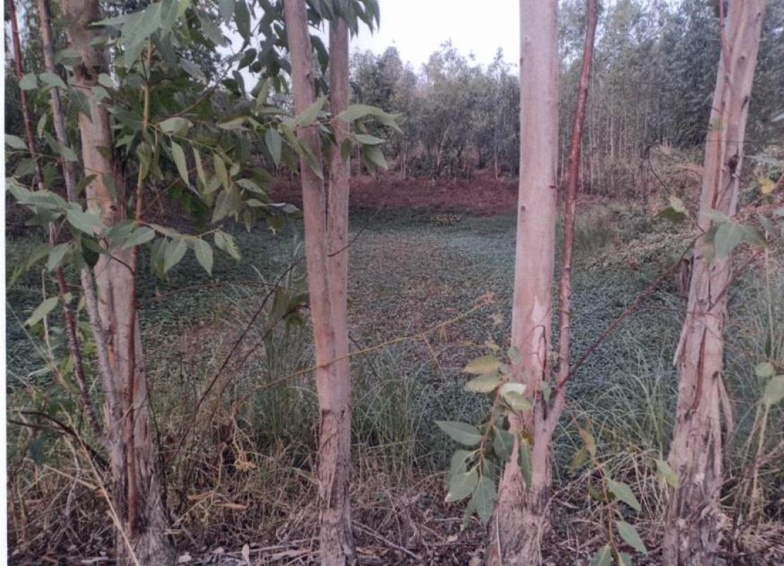 Residential land/lot Sukhothai Kong Krailat Kong 546400
