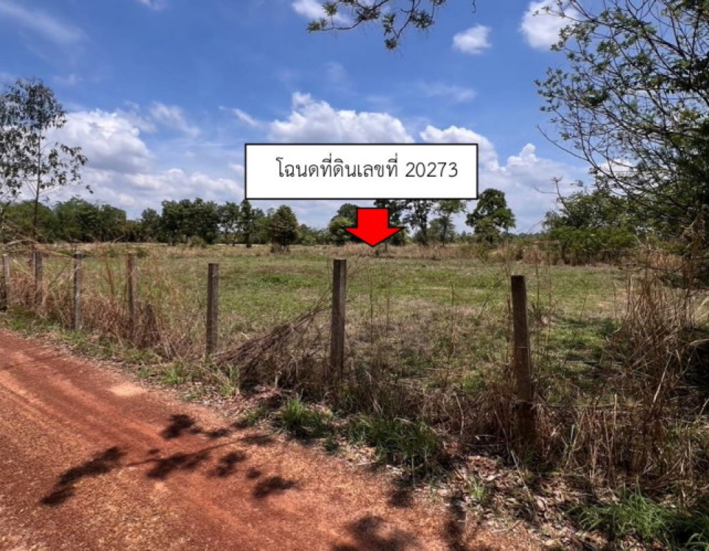ที่ดินเปล่า อุบลราชธานี ตระการพืชผล บ้านแดง 1894500