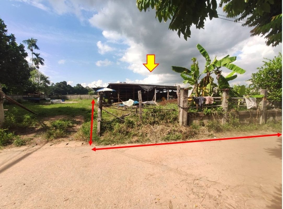 บ้านเดี่ยว ขอนแก่น กระนวน หนองโน 1550220
