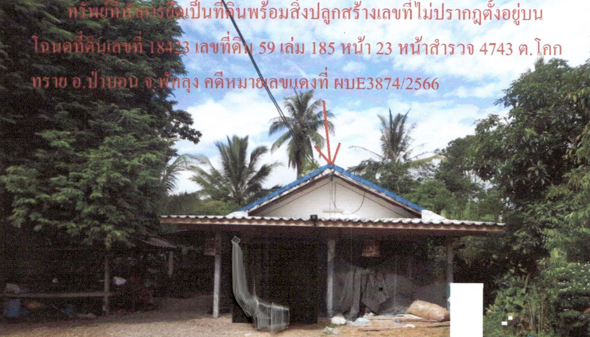บ้านเดี่ยว พัทลุง ป่าบอน โคกทราย 958980