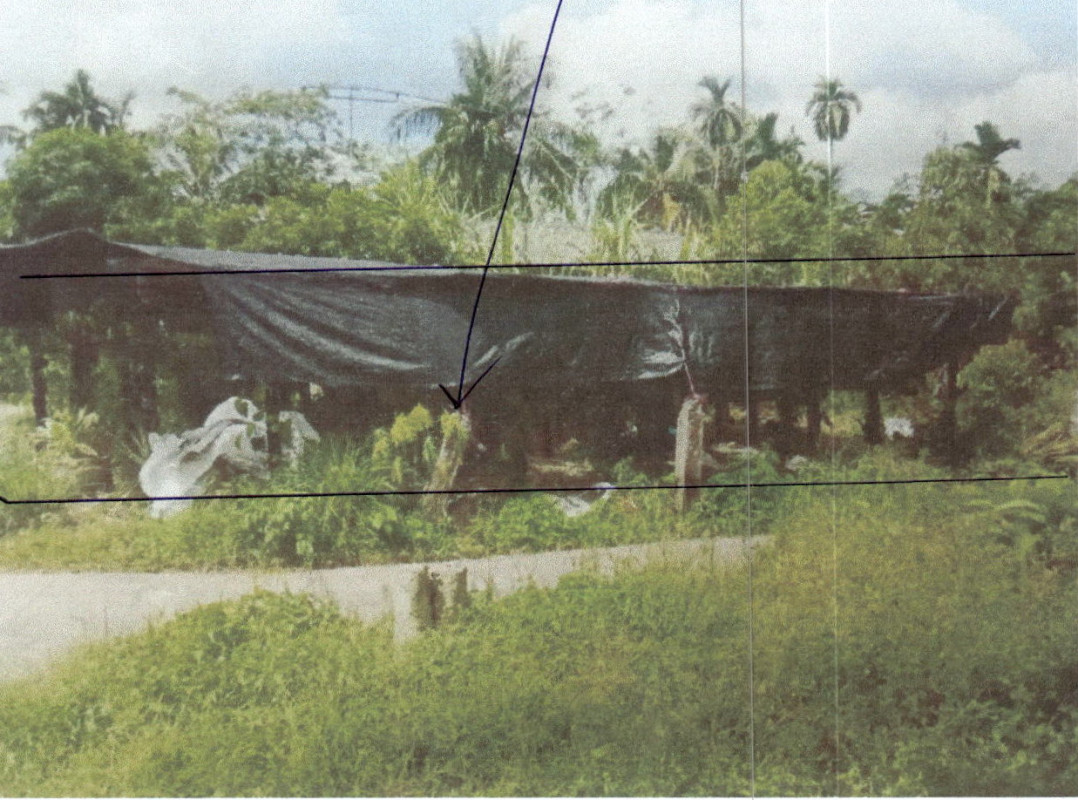 Residential land/lot Phatthalung Khuan Khanun Nakhayat 118000