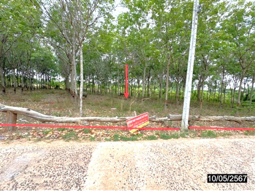 ที่ดินเปล่า ที่ดิน อุบลราชธานี อุบลราชธานี ตระการพืชผล คอนสาย 1480000