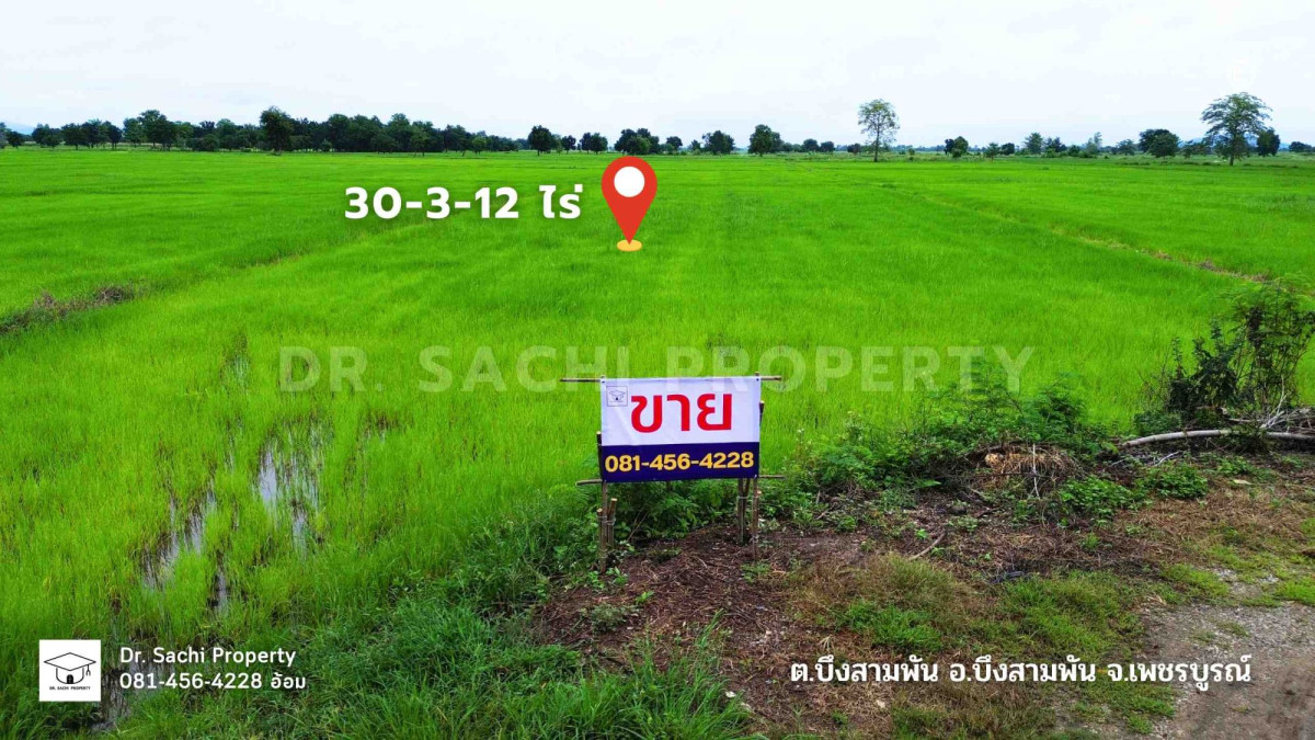 ที่ดินเปล่า เพชรบูรณ์ บึงสามพัน บึงสามพัน 20007000