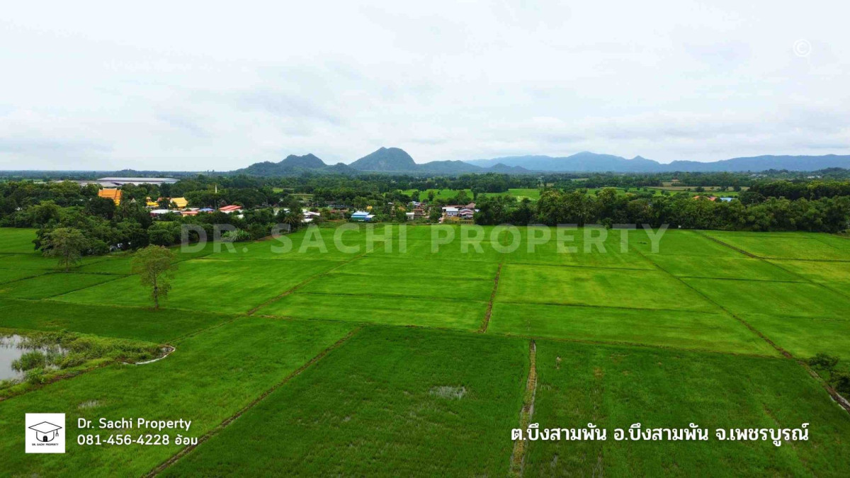 ที่ดินเปล่า เพชรบูรณ์ บึงสามพัน บึงสามพัน 20007000