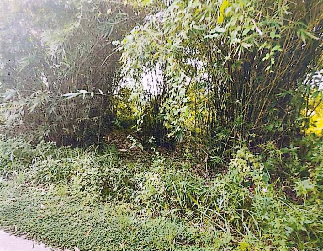 Residential land/lot Lamphun Mueang Lamphun Umong 80000