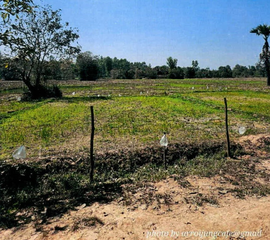 ที่ดินเปล่า ลำปาง ห้างฉัตร หนองหล่ม 518870