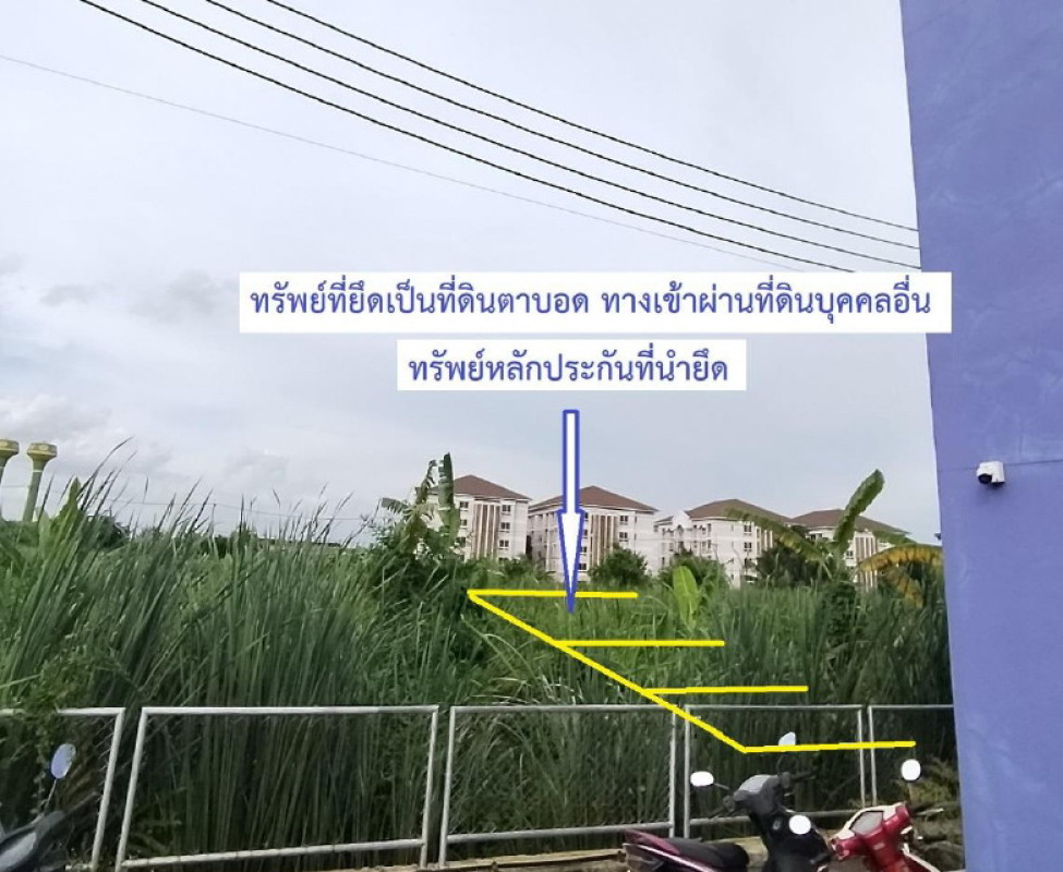 ที่ดินเปล่า นครปฐม สามพราน ไร่ขิง 182000