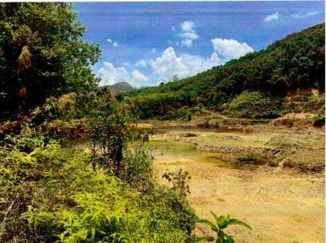 ที่ดินเปล่า ระนอง เมืองระนอง หงาว 164256