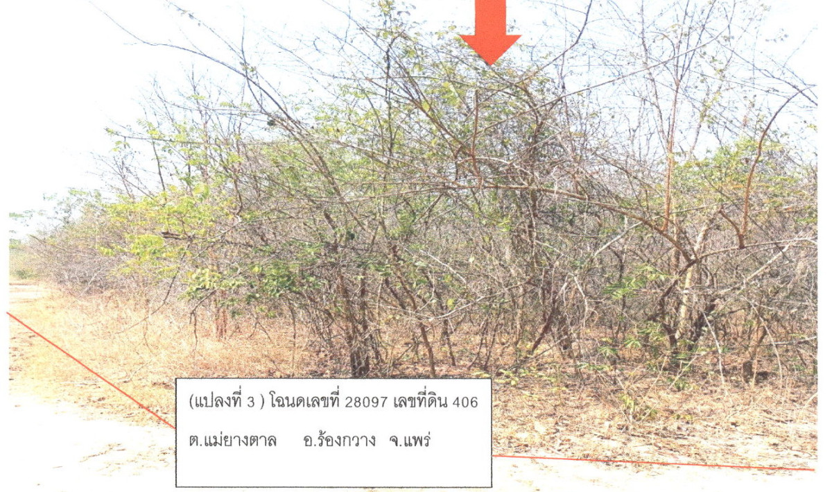 ที่ดินเปล่า แพร่ ร้องกวาง แม่ยางตาล 963160