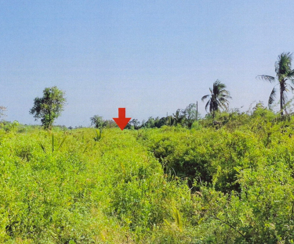Residential land/lot Samut Songkhram Mueang Samut Songkhram Khlong Khon 340065
