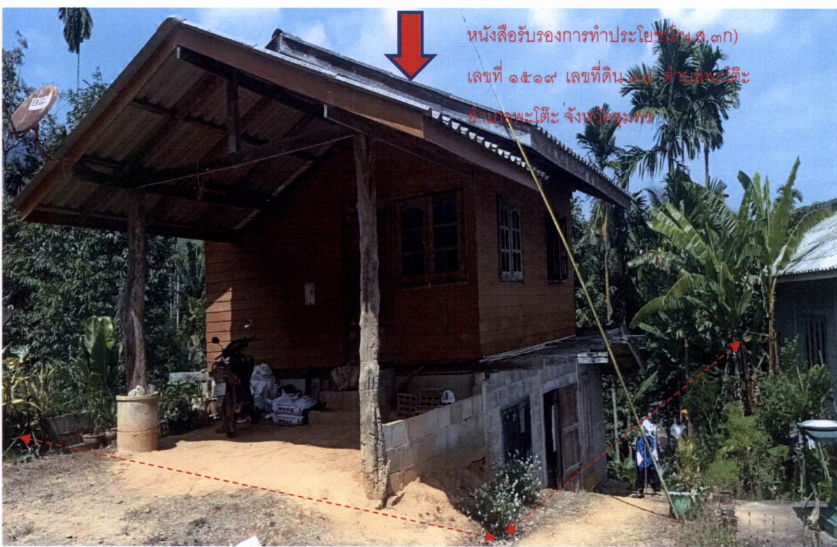ทาวน์เฮ้าส์ ชุมพร พะโต๊ะ พะโต๊ะ 379350