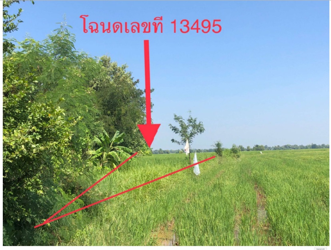 ที่ดินเปล่า กาฬสินธุ์ ฆ้องชัย โคกสะอาด 72000
