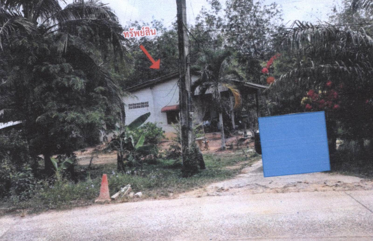 บ้านเดี่ยว สงขลา สะเดา ท่าโพธิ์ 609950