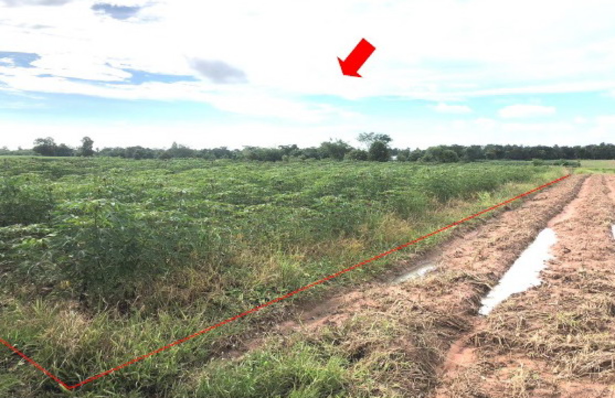 ที่ดินเปล่า กาฬสินธุ์ คำม่วง เนินยาง 590000