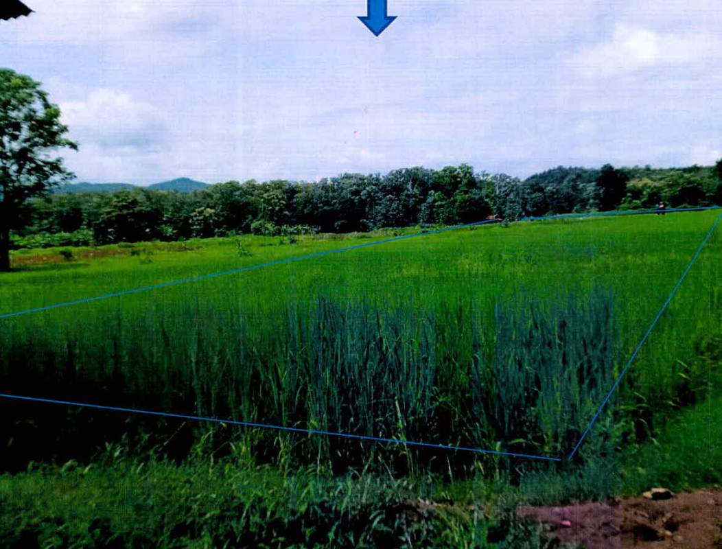 ที่ดินเปล่า ลำปาง เมืองลำปาง กล้วยแพะ 157950