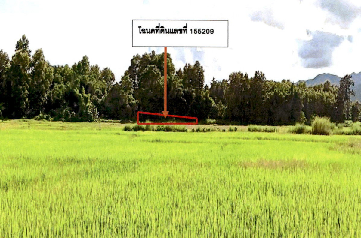 ที่ดินเปล่า ลำปาง เมืองลำปาง บ้านค่า 45200