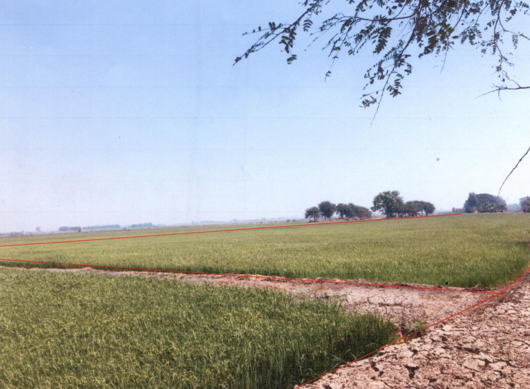 Residential land/lot Phra Nakhon Si Ayutthaya Phak Hai Na Khu 1080000