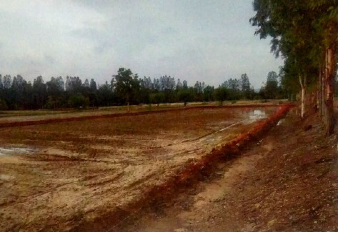 ที่ดินเปล่า กาฬสินธุ์ คำม่วง นาบอน 1104000