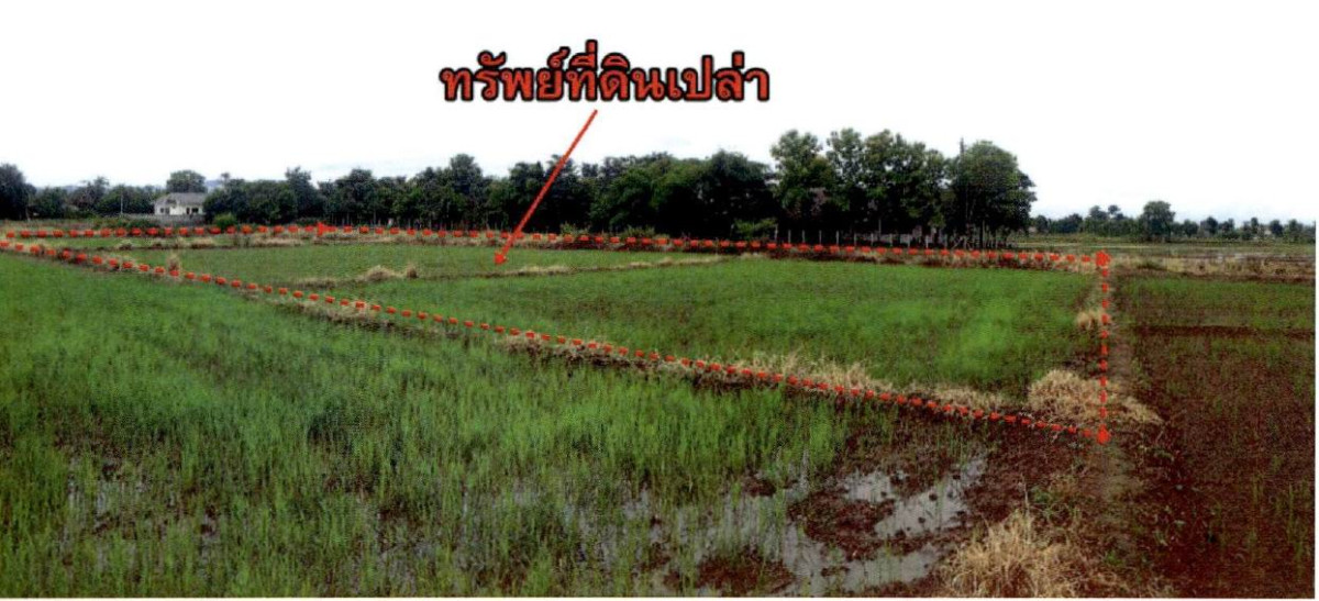 ที่ดินเปล่า เชียงใหม่ สันกำแพง แช่ช้าง 250000
