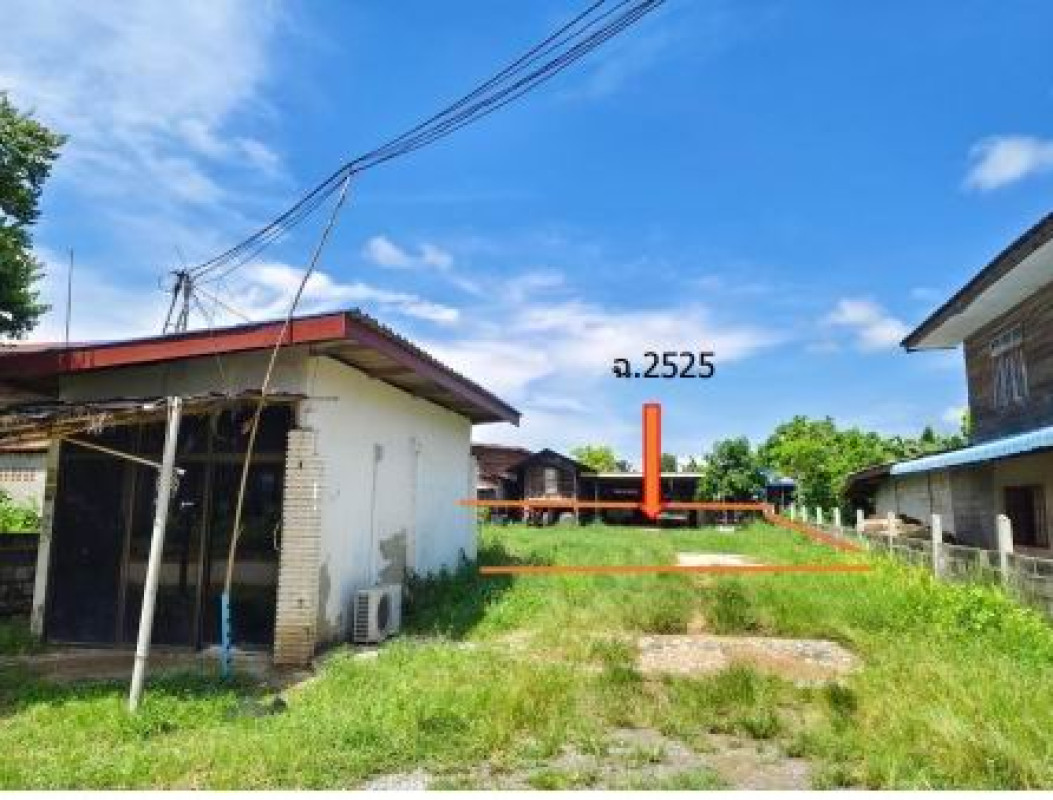 Residential land/lot Kalasin Don Chan Dong Phayung 13800