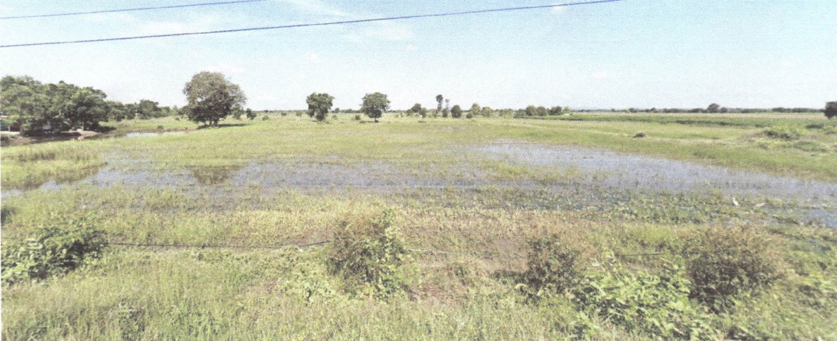 ที่ดินเปล่า ลพบุรี โคกสำโรง คลองเกตุ 240000