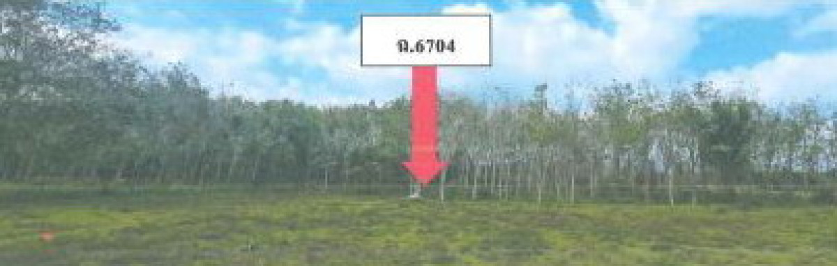 ที่ดินเปล่า นครศรีธรรมราช ลานสกา ท่าดี 551625