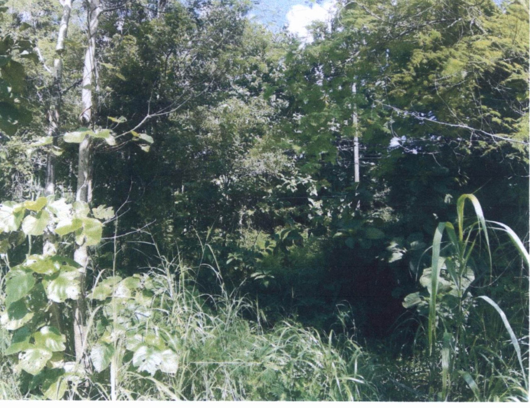 Residential land/lot Lampang Ngao Ban Pong 329350
