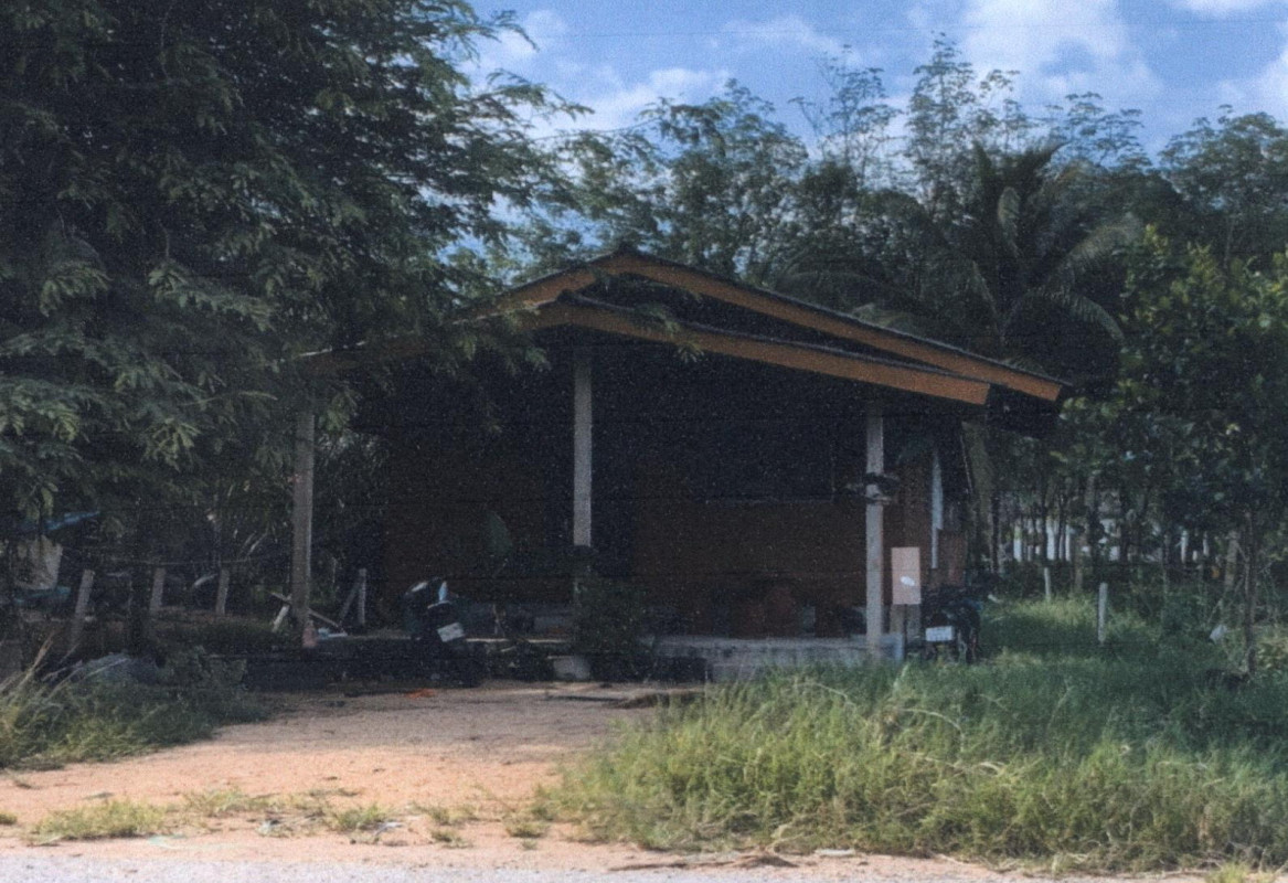 บ้านเดี่ยว พัทลุง ป่าบอน ป่าบอน 252900