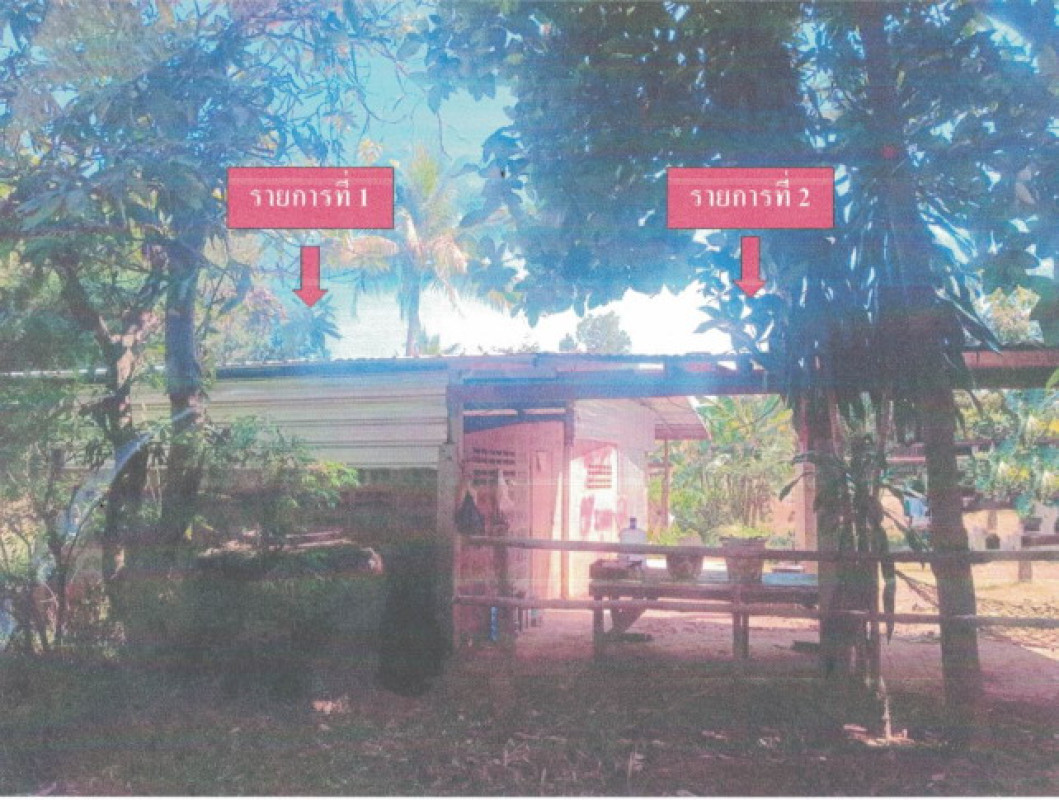 บ้านเดี่ยว อุบลราชธานี ศรีเมืองใหม่ เอือดใหญ่ 527528