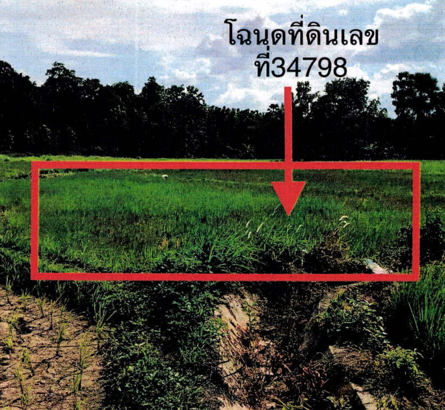 ที่ดินเปล่า ลำปาง แม่ทะ ดอนไฟ 180400