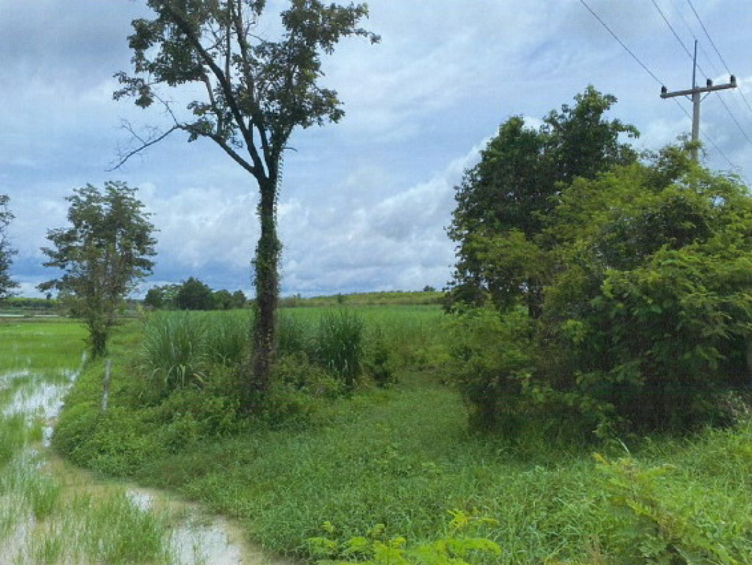 Residential land/lot Kalasin Kuchinarai Chaen Laen 400000