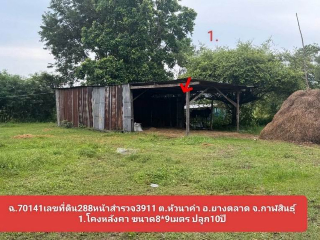 บ้านเดี่ยว กาฬสินธุ์ ยางตลาด หัวนาคำ 1450000