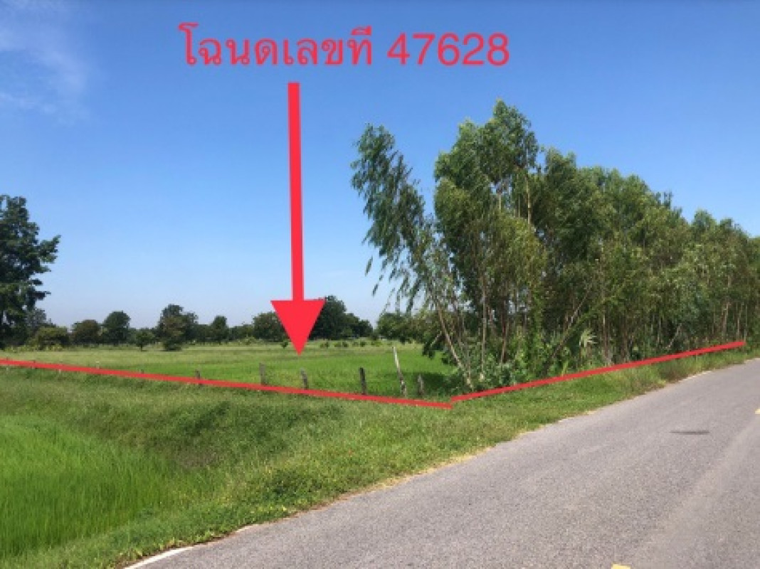 ที่ดินเปล่า นครราชสีมา บัวใหญ่ โนนทองหลาง 430950
