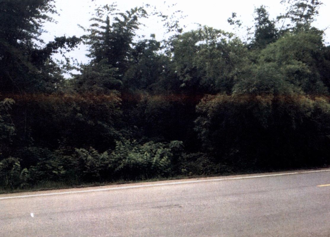 ที่ดินเปล่า ลำปาง เกาะคา ใหม่พัฒนา 819750