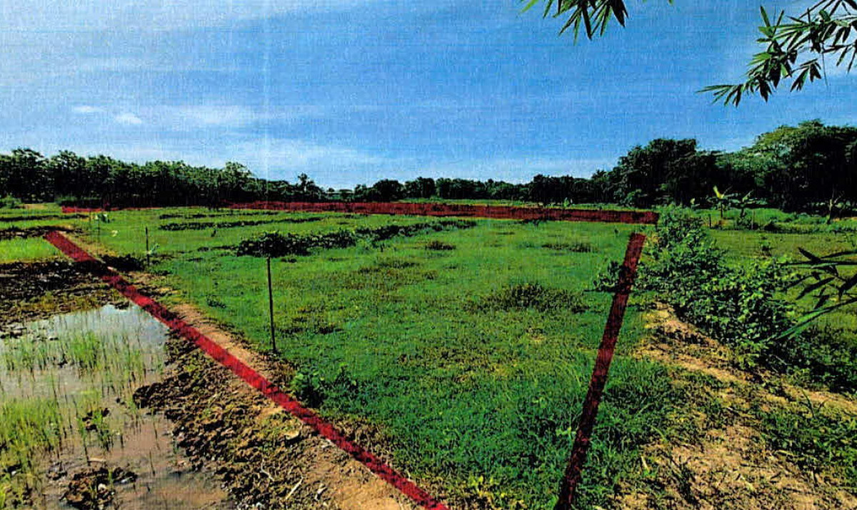 Residential land/lot Lampang Hang Chat Wo Kaeo 187525