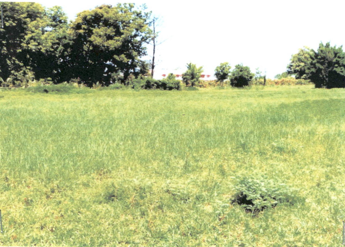 Residential land/lot Kalasin Nong Kung Si Nong Kung Si 320000