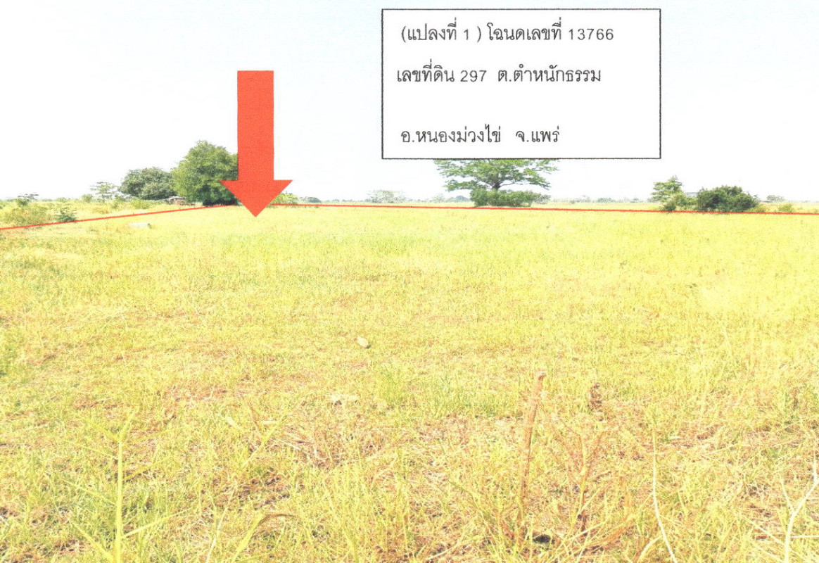 ที่ดินเปล่า แพร่ หนองม่วงไข่ แม่คำมี 74800