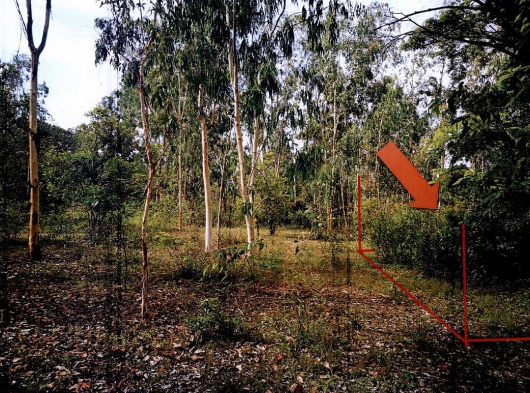 Residential land/lot Ubon Ratchathani Trakan Phuet Phon Na Samai 12000