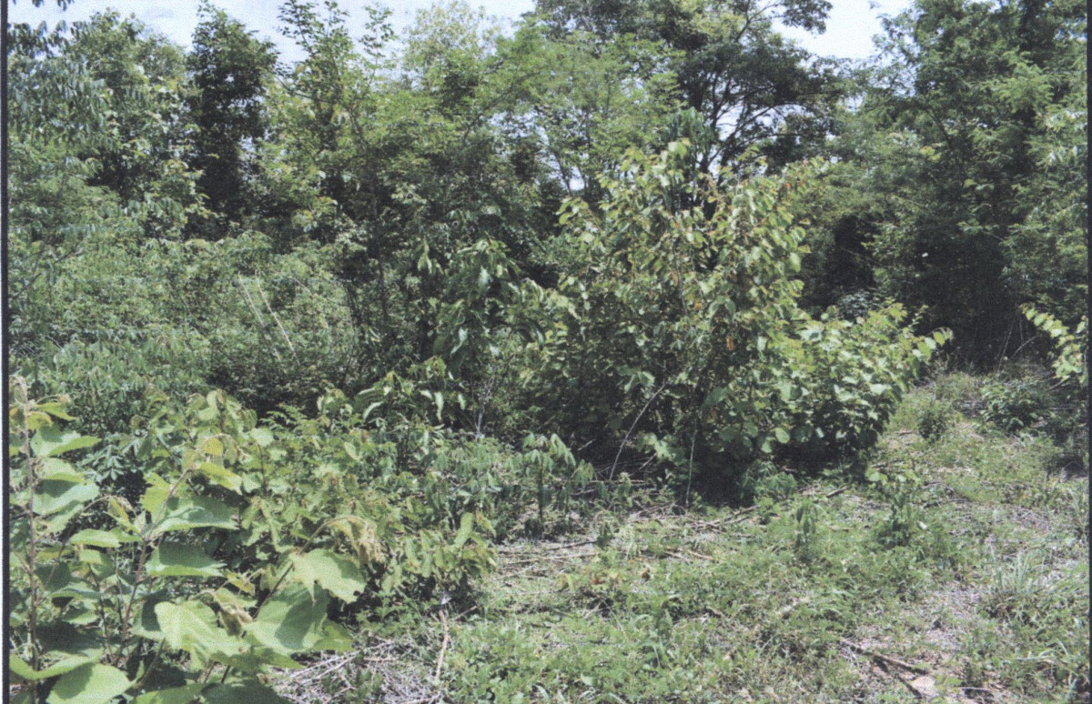 Residential land/lot Lampang Ko Kha Tha Pha 280000