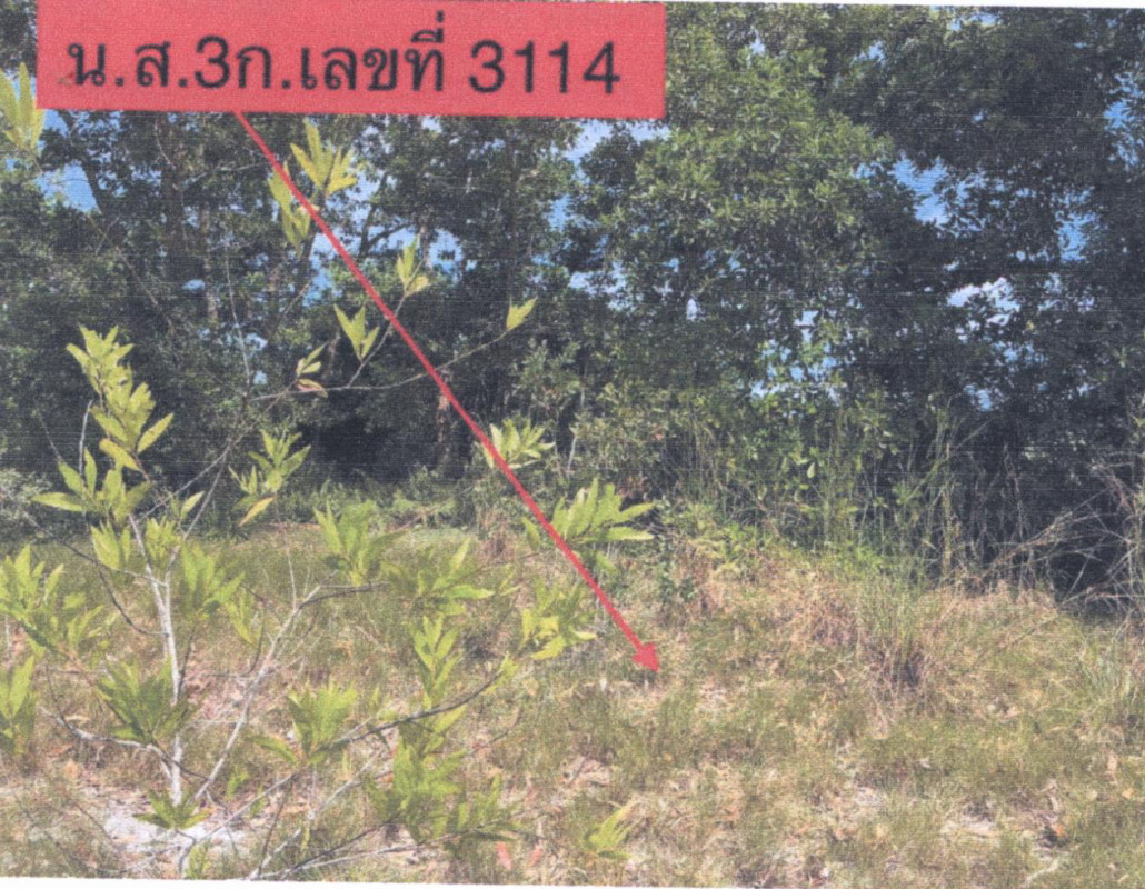 ที่ดินเปล่า นครศรีธรรมราช ชะอวด ชะอวด 100000